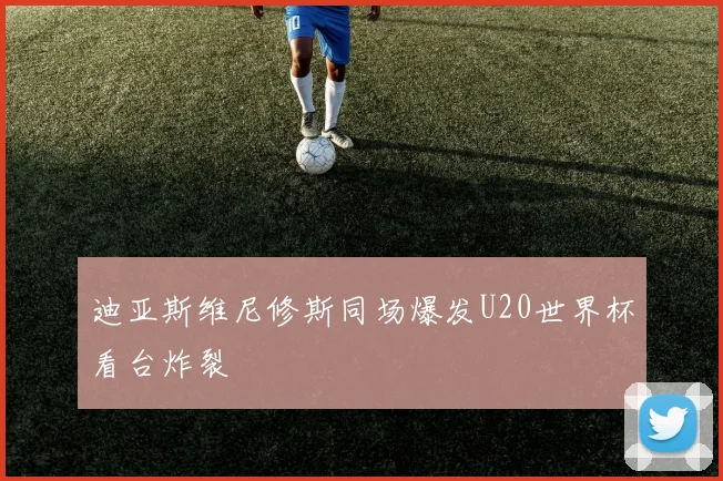 迪亚斯维尼修斯同场爆发U20世界杯看台炸裂