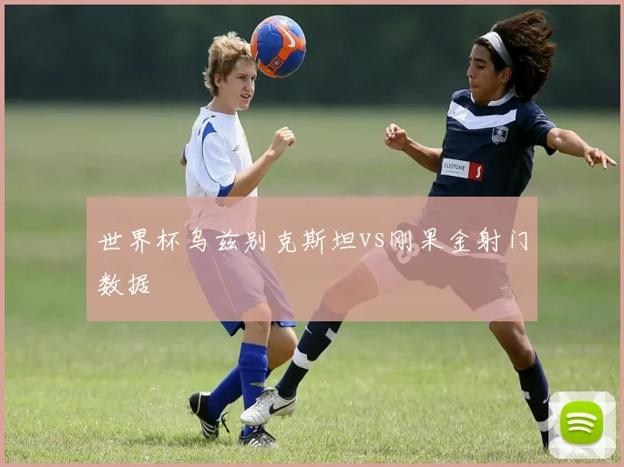 世界杯乌兹别克斯坦vs刚果金射门数据